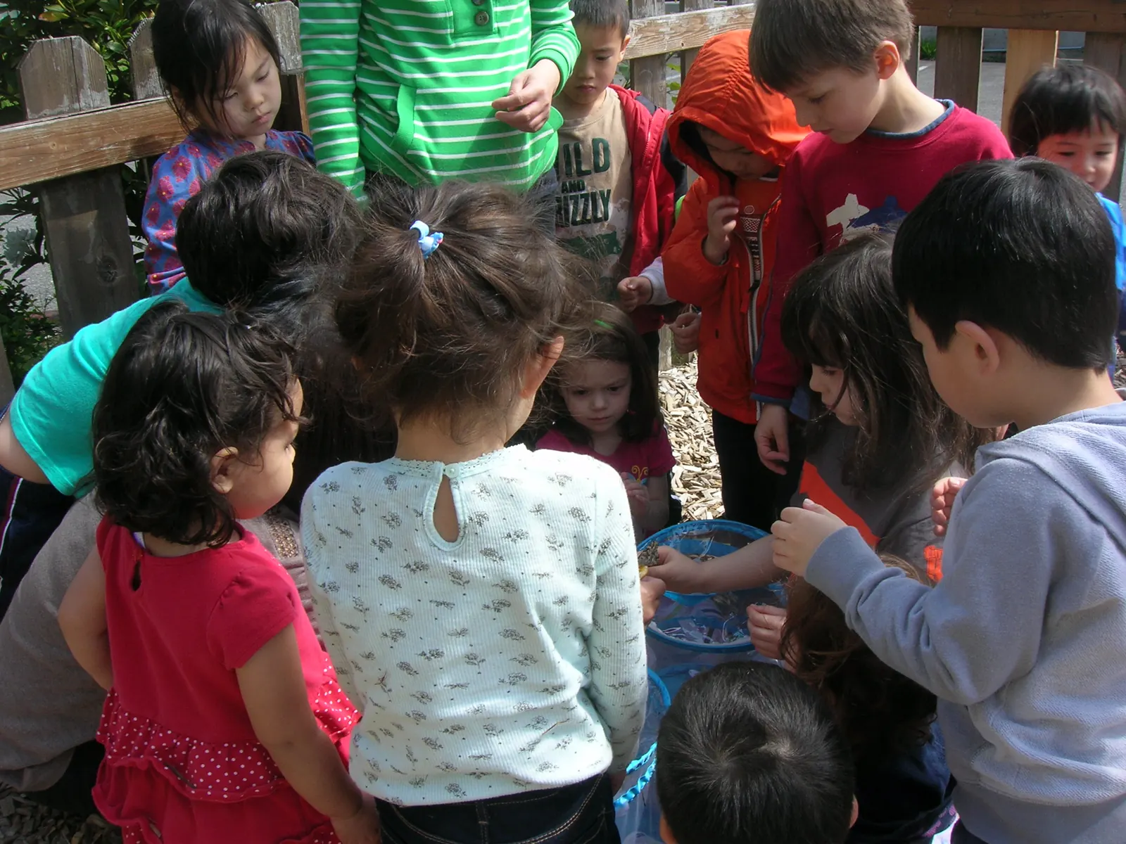 APLS children enjoying an outdoor activity